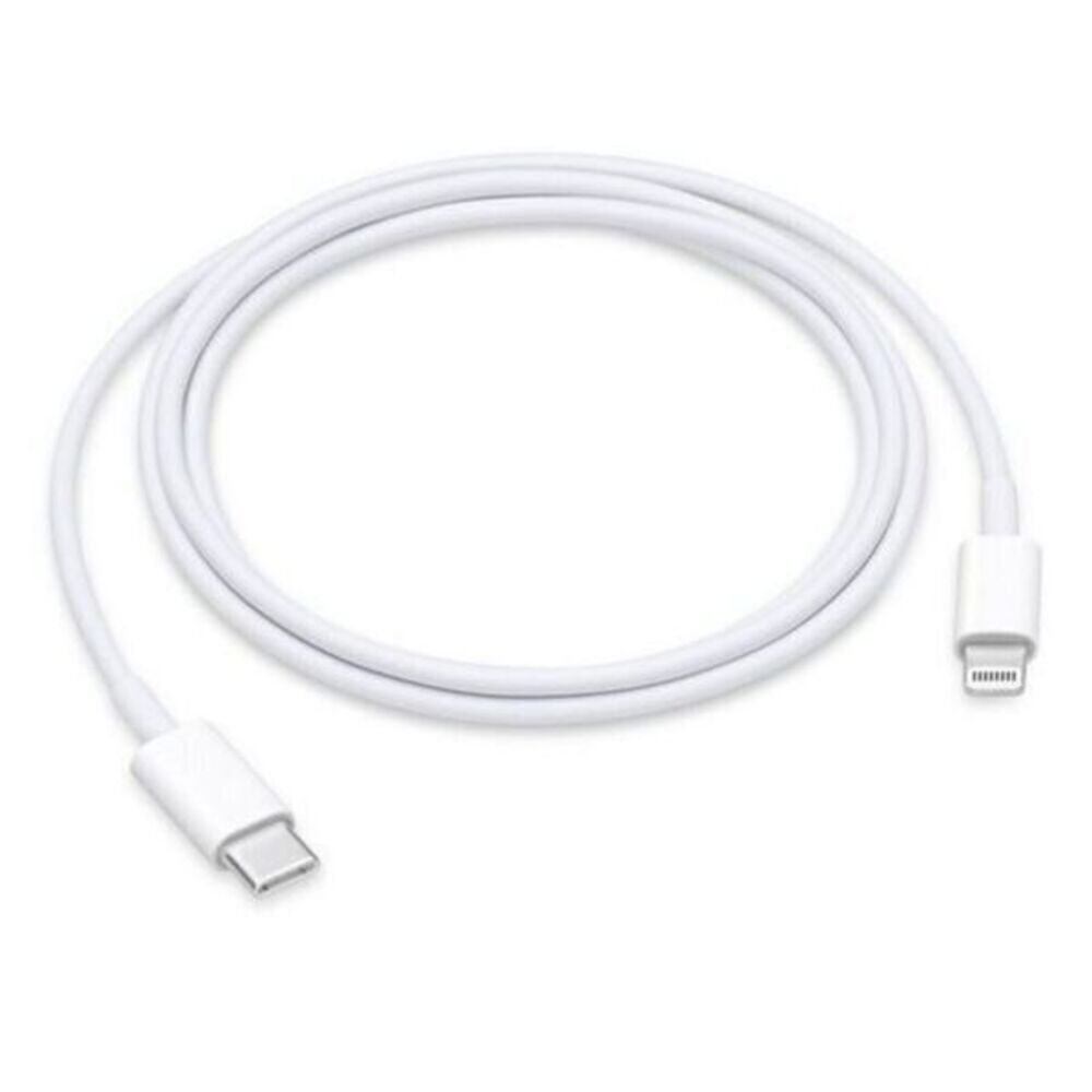 Apple iPhone charger